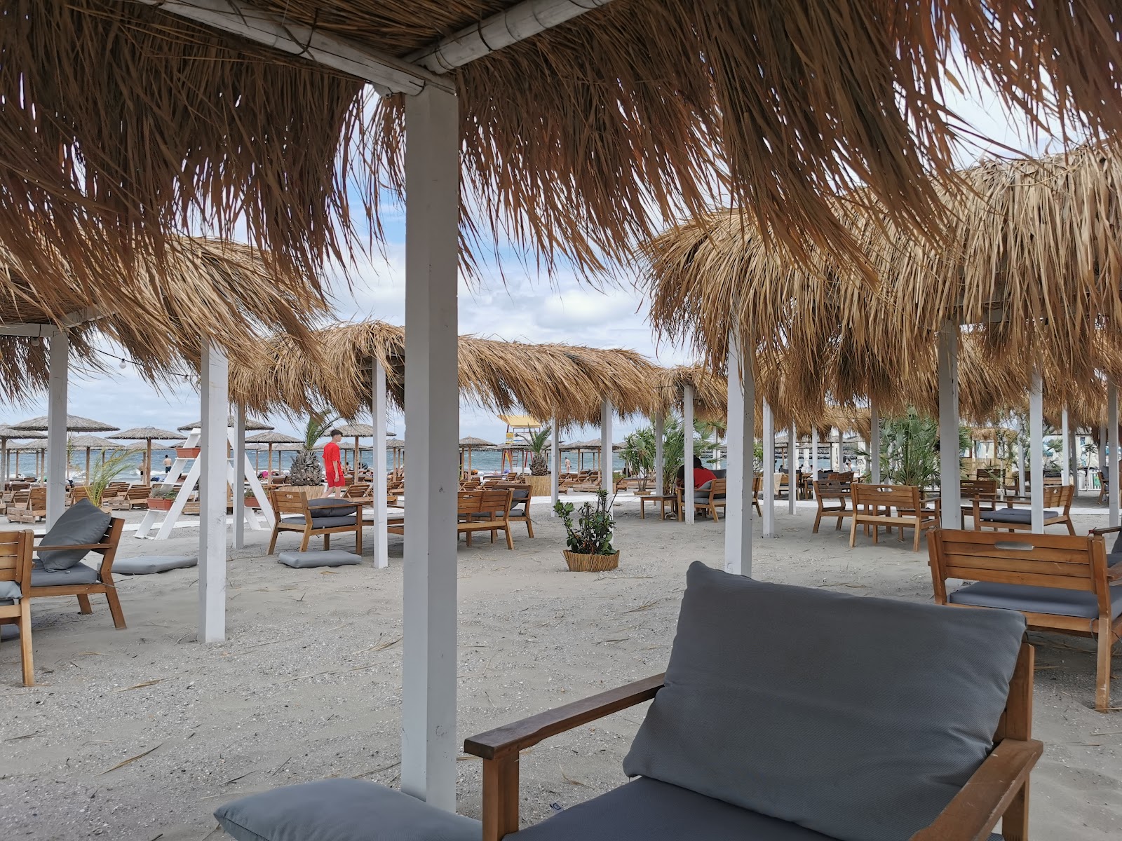 Arruba Beach Bar photo 1