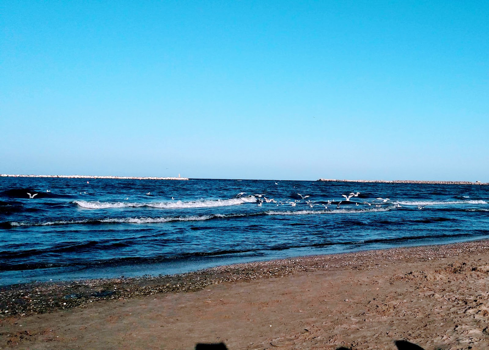 Arruba Beach Bar photo 3