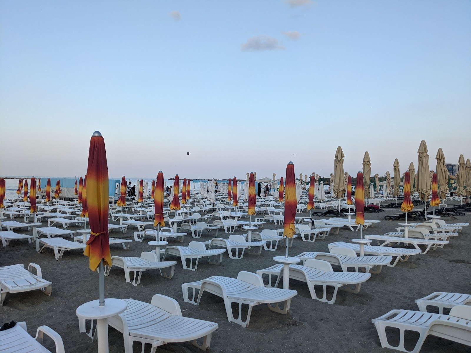 Arruba Beach Bar photo 4
