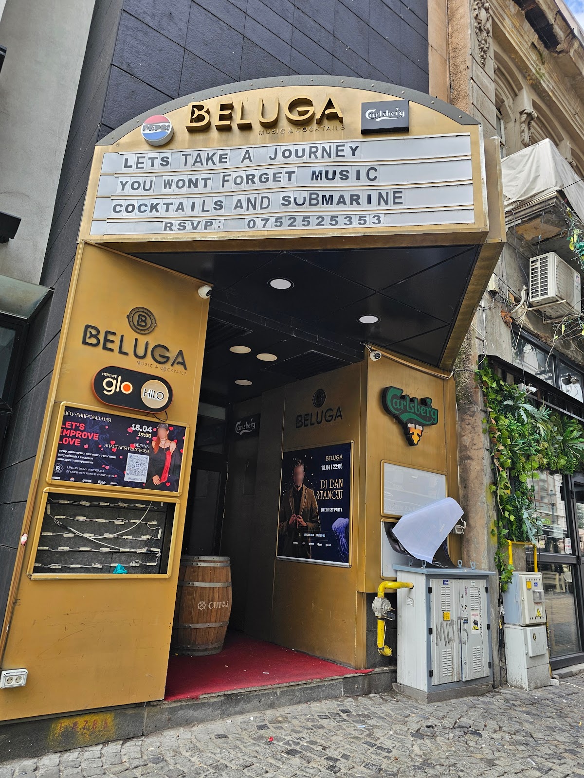 Beluga Music & Cocktails photo 3