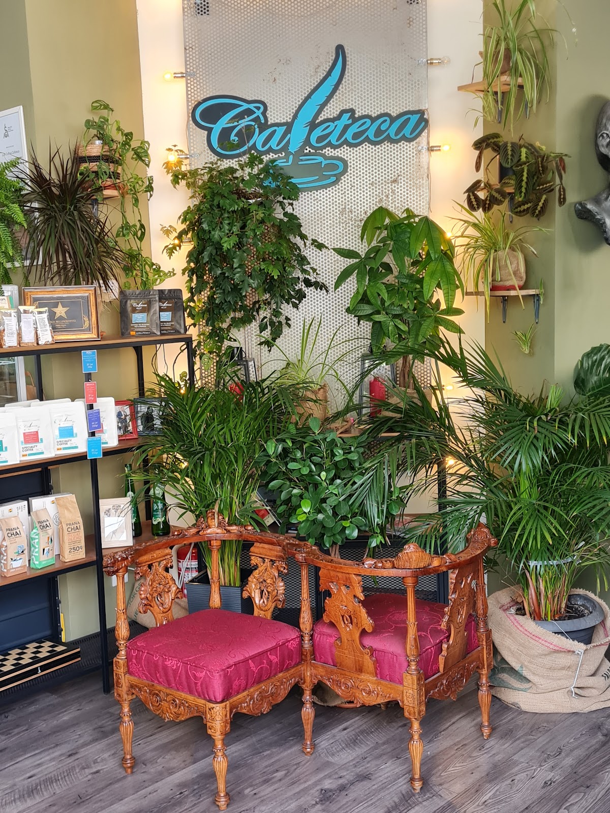 Cișmigiu Cafenea photo 1