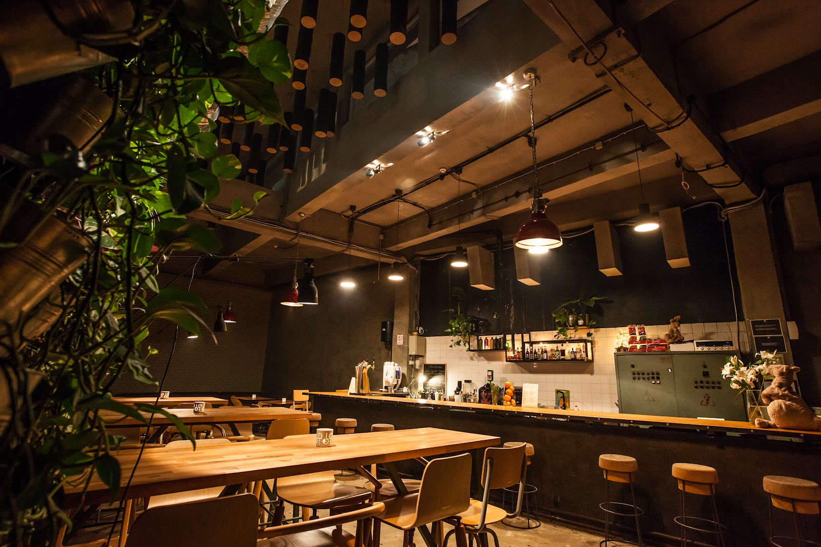 Club Guesthouse photo 4