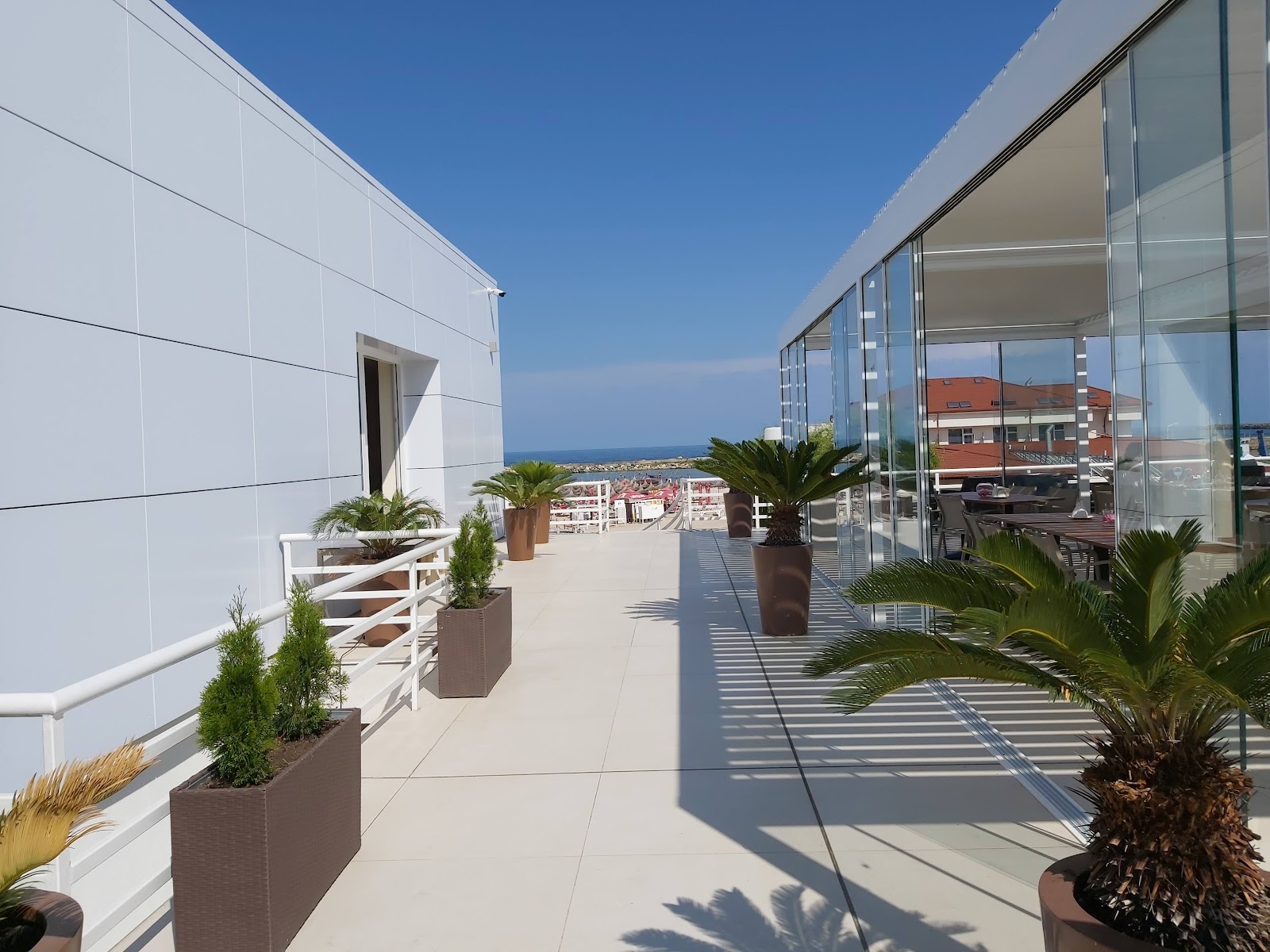 Hotel New Belvedere photo 1