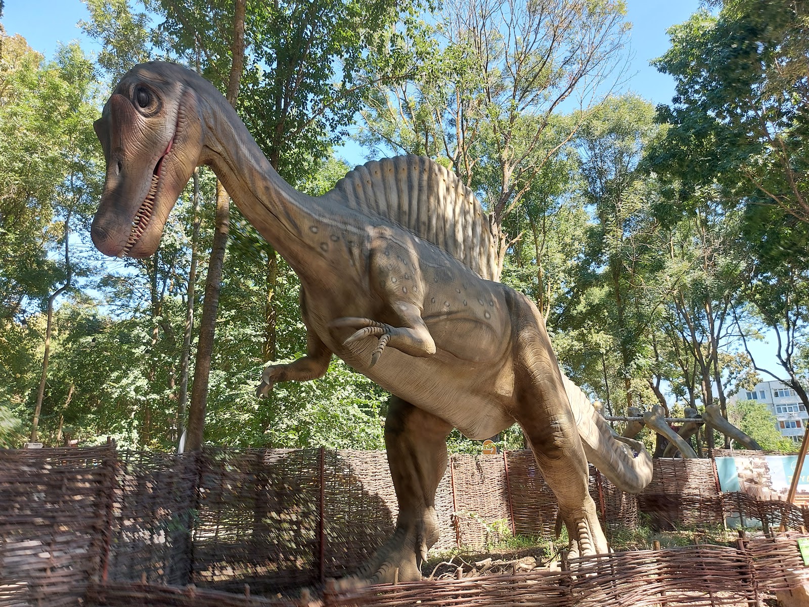 Jurasica Adventure Park photo 3