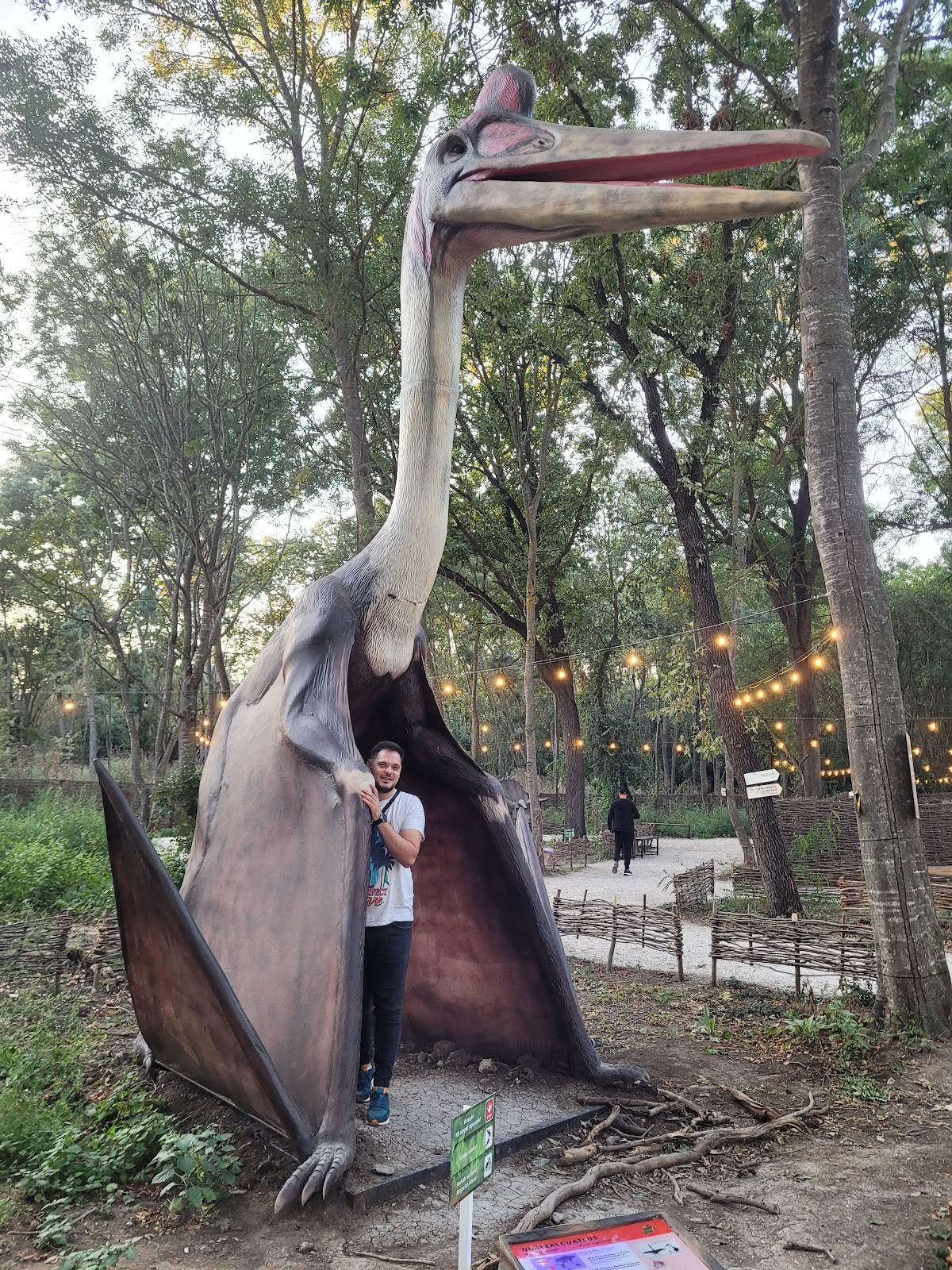 Jurasica Adventure Park photo 4