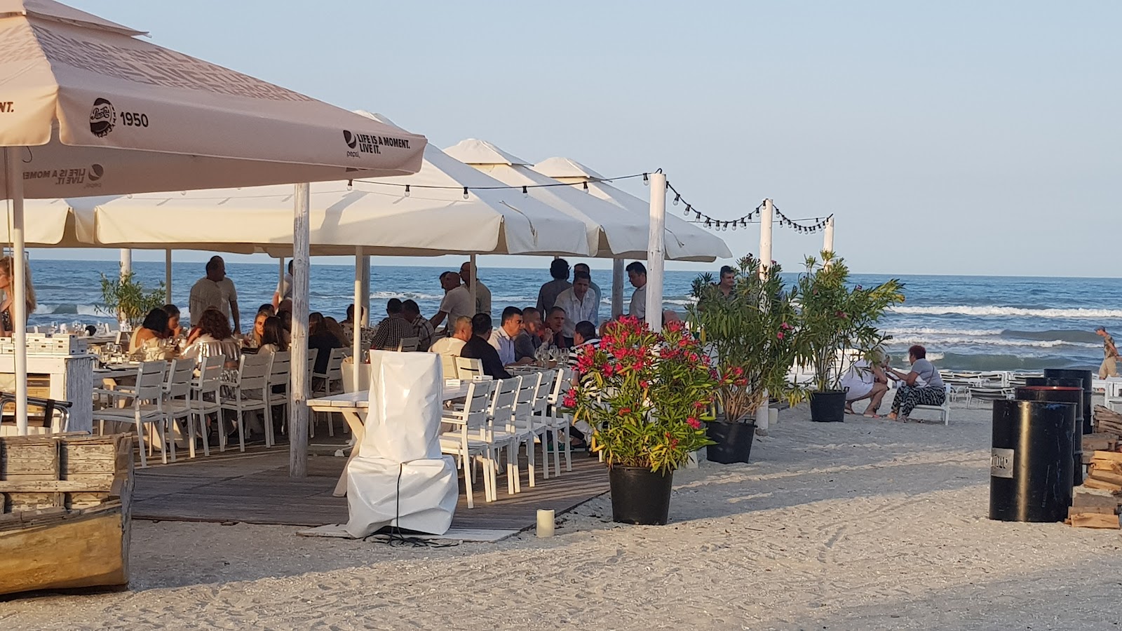 Loft Mamaia photo 2