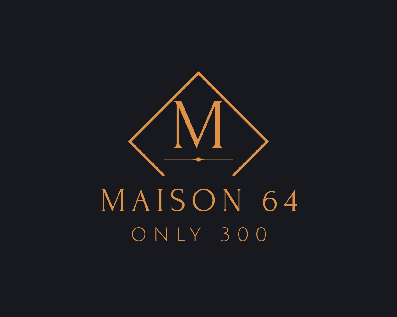 Maison 64 photo 3