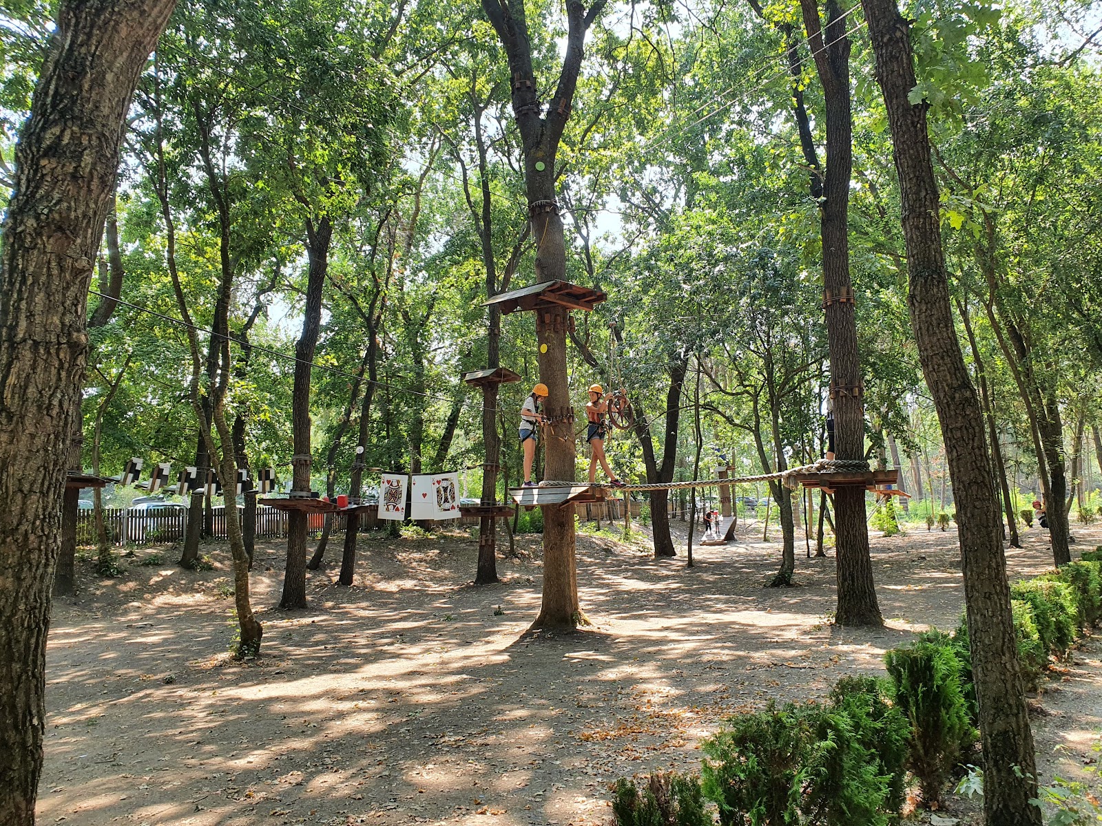 Paradis Land photo 4