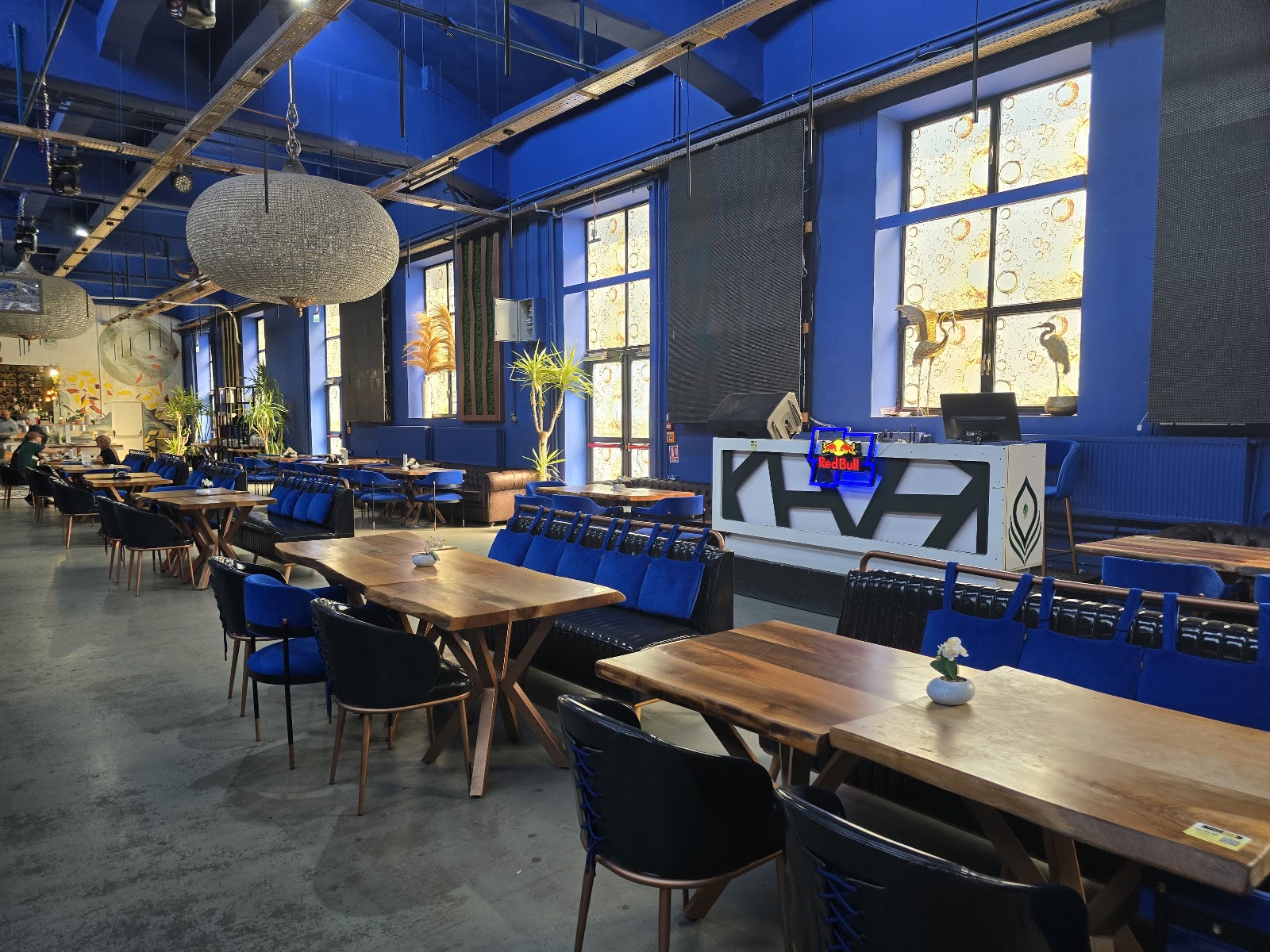 Restaurant Manara Blue Bucuresti photo 2