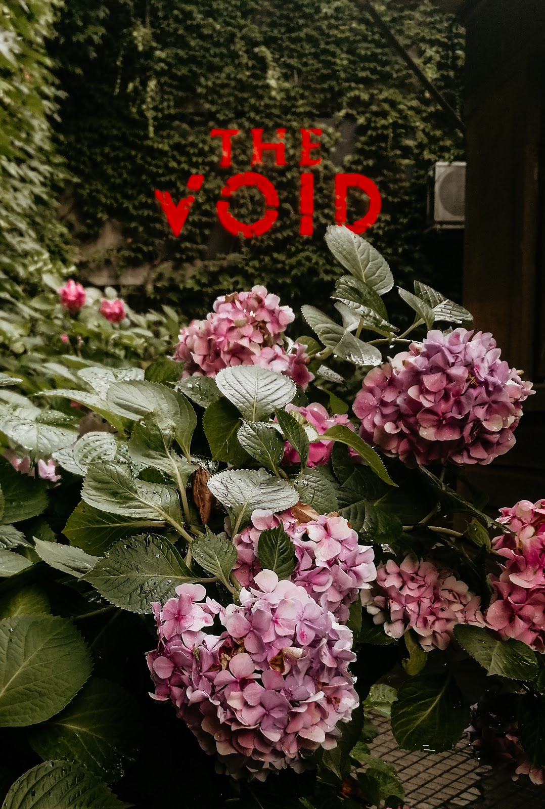 Void Club photo 1