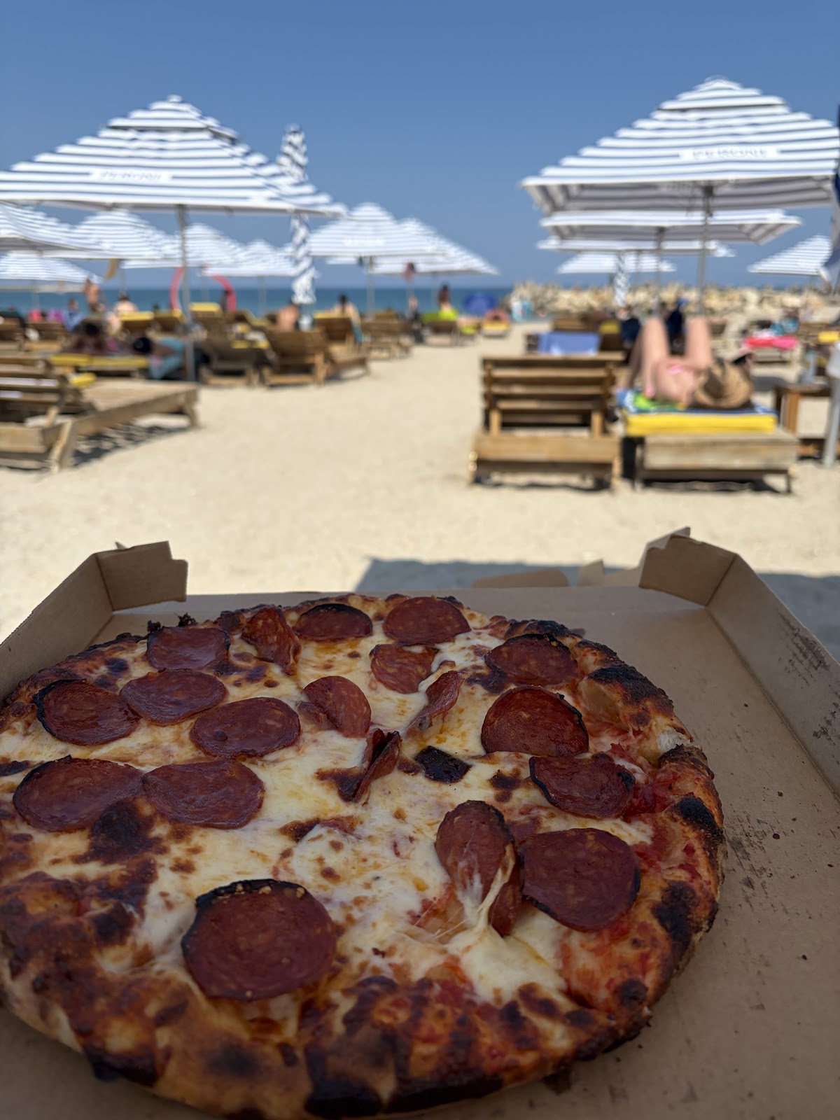 ZooM Beach photo 2